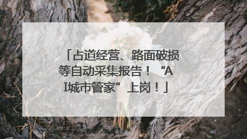 占道经营、路面破损等自动采集报告！“AI城市管家”上岗！