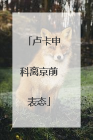 卢卡申科离京前表态