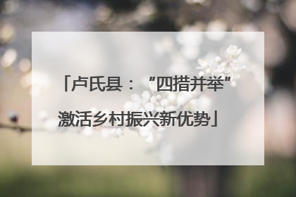 卢氏县：“四措并举”激活乡村振兴新优势