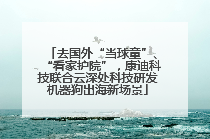 去国外“当球童”、“看家护院”，康迪科技联合云深处科技研发机器狗出海新场景