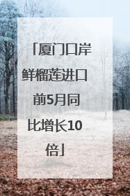 厦门口岸鲜榴莲进口 前5月同比增长10倍