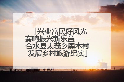 兴业富民好风光 奏响振兴新乐章——合水县太莪乡黑木村发展乡村旅游纪实