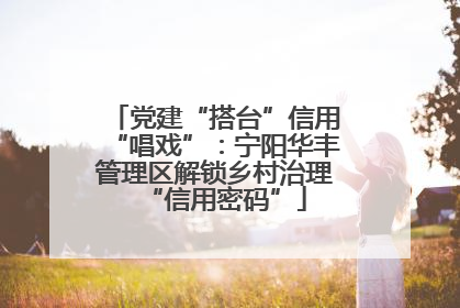 党建“搭台”信用“唱戏”：宁阳华丰管理区解锁乡村治理“信用密码”