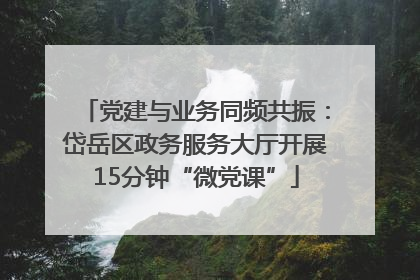 党建与业务同频共振：岱岳区政务服务大厅开展15分钟“微党课”