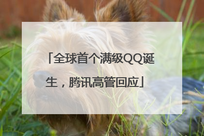 全球首个满级QQ诞生，腾讯高管回应