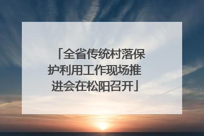 全省传统村落保护利用工作现场推进会在松阳召开