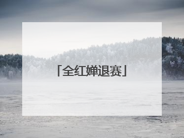全红婵退赛