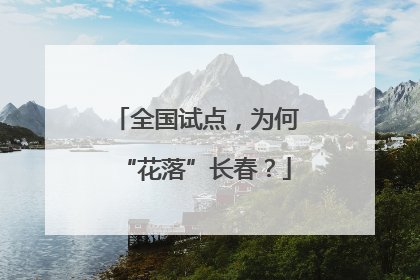 全国试点，为何“花落”长春？