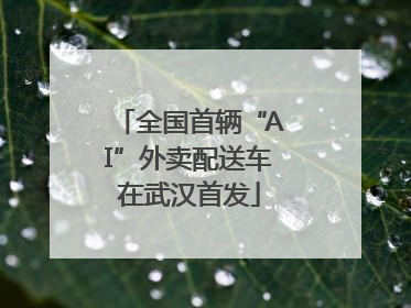 全国首辆“AI”外卖配送车在武汉首发