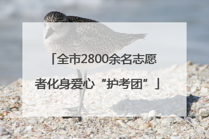 全市2800余名志愿者化身爱心“护考团”