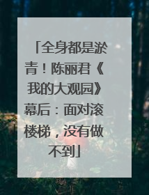 全身都是淤青！陈丽君《我的大观园》幕后：面对滚楼梯，没有做不到