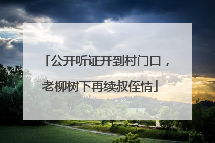 公开听证开到村门口，老柳树下再续叔侄情