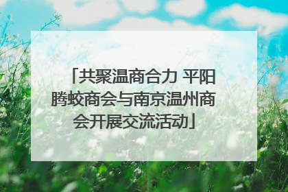 共聚温商合力 平阳腾蛟商会与南京温州商会开展交流活动