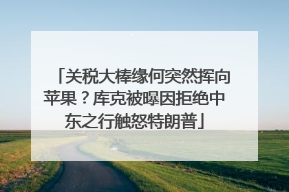 关税大棒缘何突然挥向苹果？库克被曝因拒绝中东之行触怒特朗普