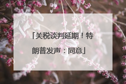 关税谈判延期！特朗普发声：同意