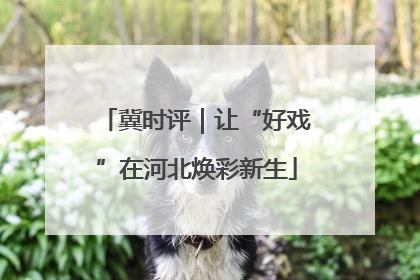 冀时评｜让“好戏”在河北焕彩新生