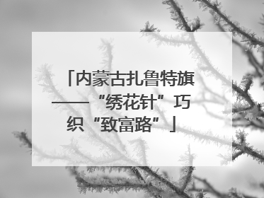 内蒙古扎鲁特旗——“绣花针”巧织“致富路”