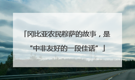 冈比亚农民穆萨的故事，是“中非友好的一段佳话”