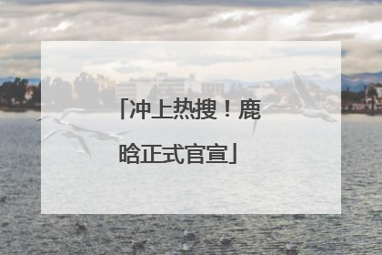 冲上热搜！鹿晗正式官宣