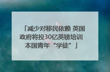 减少对移民依赖 英国政府将投30亿英镑培训本国青年“学徒”