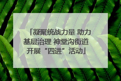 凝聚统战力量 助力基层治理 神堂沟街道开展“四进”活动