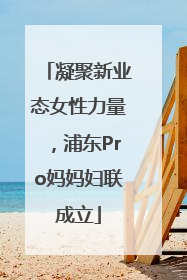 凝聚新业态女性力量，浦东Pro妈妈妇联成立