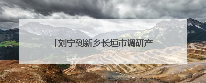 刘宁到新乡长垣市调研产业发展、基层治理等工作