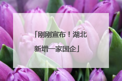 刚刚宣布！湖北新增一家国企