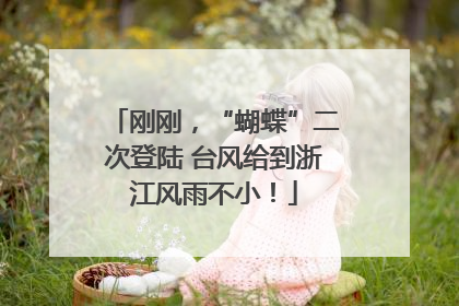 刚刚，“蝴蝶”二次登陆 台风给到浙江风雨不小！