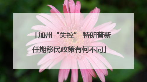 加州“失控” 特朗普新任期移民政策有何不同