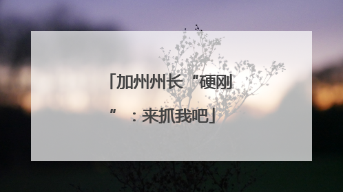 加州州长“硬刚”：来抓我吧