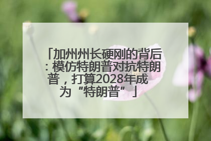 加州州长硬刚的背后：模仿特朗普对抗特朗普，打算2028年成为“特朗普”