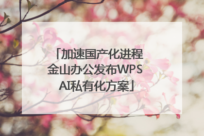加速国产化进程 金山办公发布WPS AI私有化方案