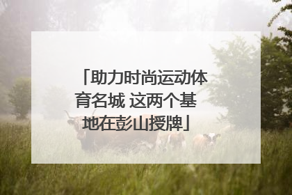 助力时尚运动体育名城 这两个基地在彭山授牌