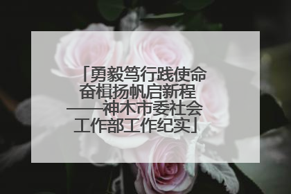 勇毅笃行践使命 奋楫扬帆启新程——神木市委社会工作部工作纪实