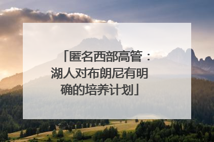 匿名西部高管：湖人对布朗尼有明确的培养计划