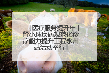 医疗服务提升年丨肾小球疾病规范化诊疗能力提升工程永州站活动举行
