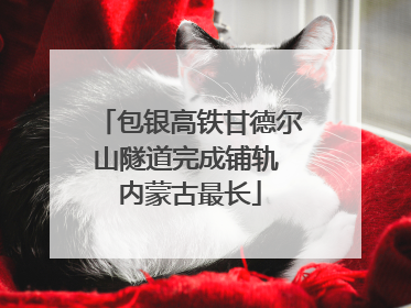 包银高铁甘德尔山隧道完成铺轨 内蒙古最长