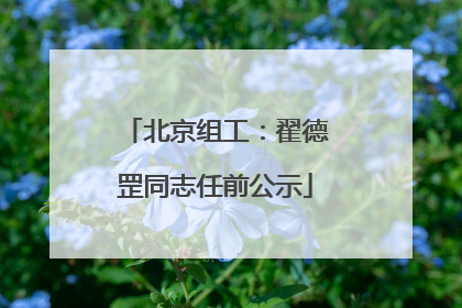 北京组工：翟德罡同志任前公示