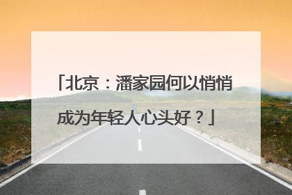 北京：潘家园何以悄悄成为年轻人心头好？