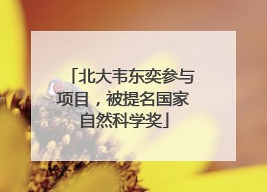 北大韦东奕参与项目，被提名国家自然科学奖