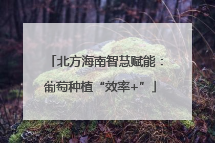 北方海南智慧赋能：葡萄种植“效率+”