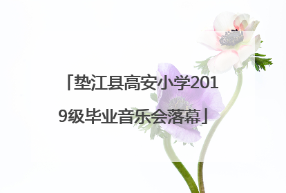 垫江县高安小学2019级毕业音乐会落幕
