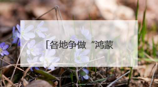 各地争做“鸿蒙第一城”，抢夺万亿生态入口