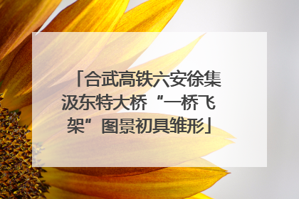 合武高铁六安徐集汲东特大桥“一桥飞架”图景初具雏形