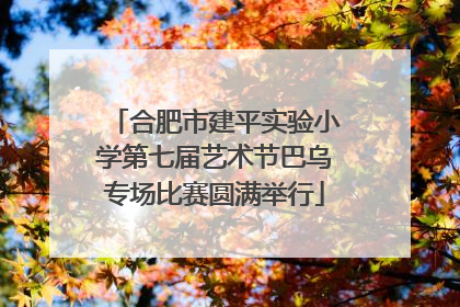 合肥市建平实验小学第七届艺术节巴乌专场比赛圆满举行