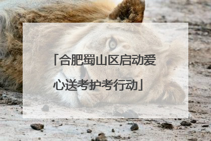 合肥蜀山区启动爱心送考护考行动