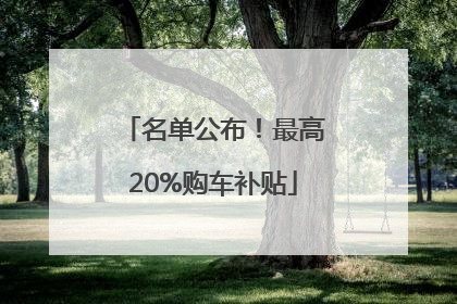 名单公布！最高20%购车补贴