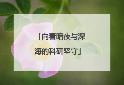向着暗夜与深海的科研坚守