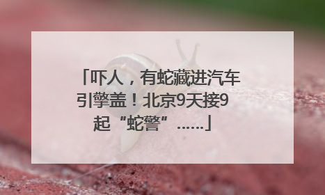 吓人，有蛇藏进汽车引擎盖！北京9天接9起“蛇警”……